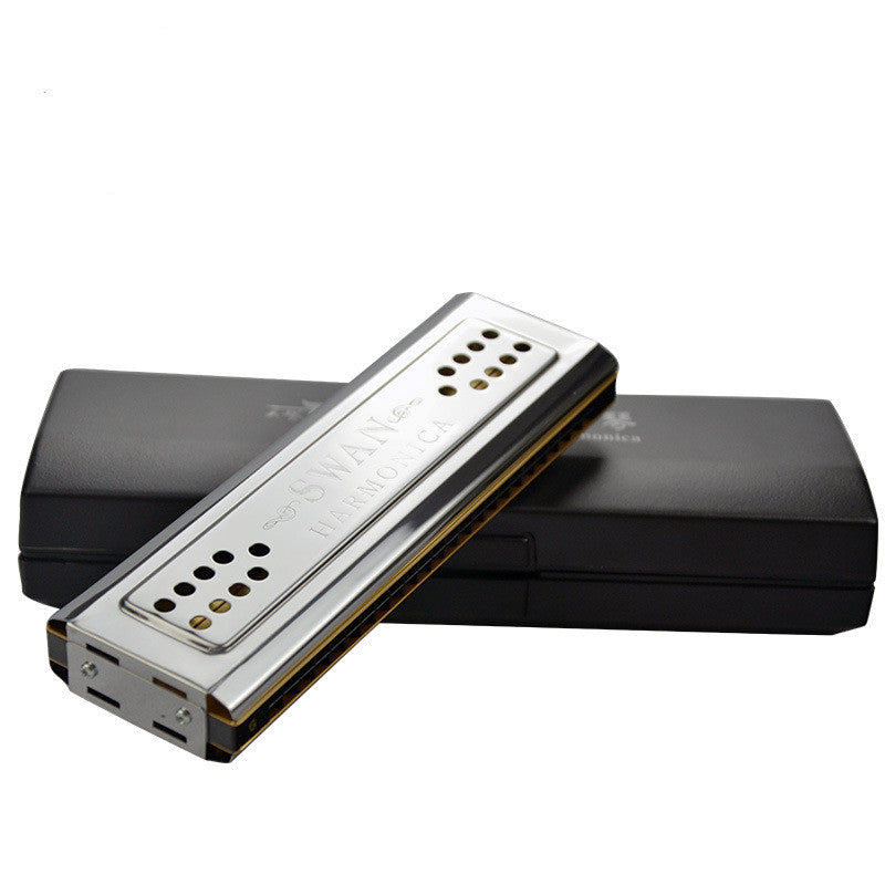 Swan Harmonica 24hole Double-sided Two-tone CG Two-tone Beginner